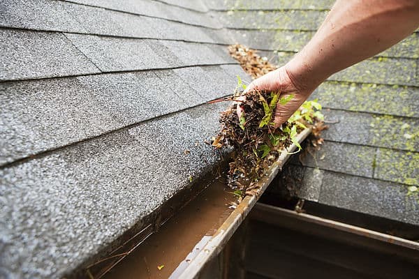 Roof and gutter cleaning